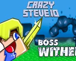 Crazy Steve IO