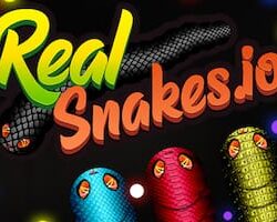 Real Snakes IO