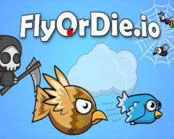 fly or die